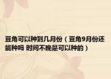 豆角可以种到几月份（豆角9月份还能种吗 时间不晚是可以种的）
