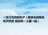 一生只为你的句子（致余生的唯美句子欣赏 愿你得一人拥一城）