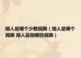 胡人是哪个少数民族（胡人是哪个民族 胡人是指哪些民族）