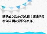 派扬a300功放怎么样（派扬功放怎么样 网友评价怎么样）