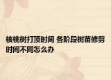 核桃树打顶时间 各阶段树苗修剪时间不同怎么办