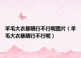 羊毛大衣暴晒行不行呢图片（羊毛大衣暴晒行不行呢）