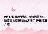9月17日最新更新内容如何鉴别注胶翡翠 找到鉴定的方法了 详细情况介绍
