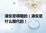潘安是哪朝的（潘安是什么朝代的）
