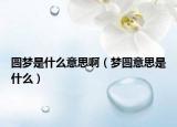 圆梦是什么意思啊（梦圆意思是什么）