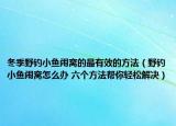 冬季野钓小鱼闹窝的最有效的方法（野钓小鱼闹窝怎么办 六个方法帮你轻松解决）