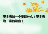 至字旁加一个秦读什么（至字旁边一秦的读音）