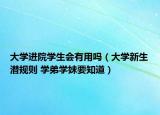 大学进院学生会有用吗（大学新生潜规则 学弟学妹要知道）