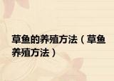 草鱼的养殖方法（草鱼养殖方法）