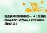 西瓜视频如何转换成mp4（西瓜视频mp4怎么转换mp3 教你用最简单的方法）