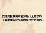 其他类似梦见草的梦是什么意思吗（其他类似梦见草的梦是什么意思）