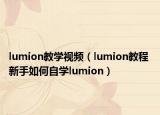 lumion教学视频（lumion教程 新手如何自学lumion）