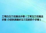 工笔白玉兰花画法步骤（工笔玉兰花画法步骤 介绍快速画好玉兰花的四个步骤）