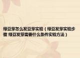 绿豆芽怎么发豆芽实验（绿豆发芽实验步骤 绿豆发芽需要什么条件实验方法）