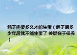 鸽子需要多久才能生蛋（鸽子喂多少年后就不能生蛋了 关键在于保养）