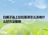 白裤子染上拉拉苗渍怎么洗有什么好方法推荐