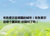 布鲁塞尔是哪国的城市（布鲁塞尔是哪个国家的 你猜对了吗）