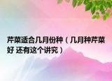 芹菜适合几月份种（几月种芹菜好 还有这个讲究）