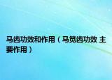马齿功效和作用（马笕齿功效 主要作用）