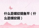 什么是螺纹钢鱼竿（什么是螺纹钢）