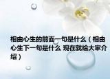 相由心生的前面一句是什么（相由心生下一句是什么 现在就给大家介绍）