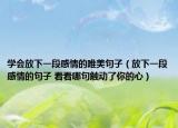 学会放下一段感情的唯美句子（放下一段感情的句子 看看哪句触动了你的心）