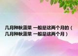 几月种秋菠菜 一般是这两个月的（几月种秋菠菜 一般是这两个月）