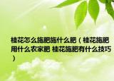 桂花怎么施肥施什么肥（桂花施肥用什么农家肥 桂花施肥有什么技巧）