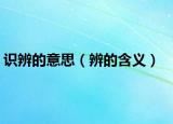 识辨的意思（辨的含义）
