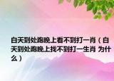 白天到处跑晚上看不到打一肖（白天到处跑晚上找不到打一生肖 为什么）