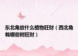 东北角放什么植物旺财（西北角栽哪些树旺财）