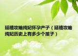 延禧攻略纯妃怀孕产子（延禧攻略纯妃历史上有多少个孩子）