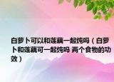 白萝卜可以和莲藕一起炖吗（白萝卜和莲藕可一起炖吗 两个食物的功效）