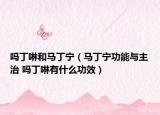 吗丁啉和马丁宁（马丁宁功能与主治 吗丁啉有什么功效）
