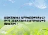 无花果汁液的作用 几乎所有的营养物质都在汁液中吗（无花果汁液的作用 几乎所有的营养物质都在汁液中）