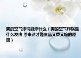 美的空气炸锅能炸什么（美的空气炸锅靠什么发热 原来这才是食品又香又脆的原因）