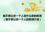 我不愿让你一个人是什么歌的歌词（我不愿让你一个人的歌词介绍）
