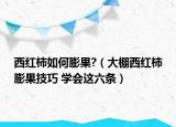 西红柿如何膨果?（大棚西红柿膨果技巧 学会这六条）