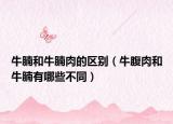 牛腩和牛腩肉的区别（牛腹肉和牛腩有哪些不同）