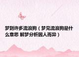 梦到许多流浪狗（梦见流浪狗是什么意思 解梦分析因人而异）