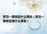 梦见一窝老鼠什么预兆（梦见一窝老鼠有什么寓意）