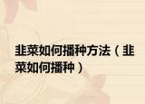 韭菜如何播种方法（韭菜如何播种）