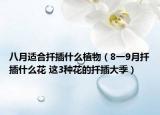 八月适合扦插什么植物（8一9月扦插什么花 这3种花的扦插大季）