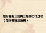 如何养好三角梅三角梅怎样过冬（如何养好三角梅）