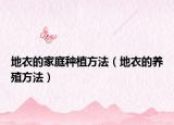 地衣的家庭种植方法（地衣的养殖方法）