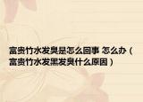 富贵竹水发臭是怎么回事 怎么办（富贵竹水发黑发臭什么原因）