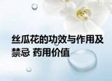 丝瓜花的功效与作用及禁忌 药用价值