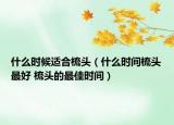 什么时候适合梳头（什么时间梳头最好 梳头的最佳时间）