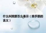 什么叫挑筋怎么表示（挑手筋的含义）