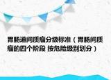 胃肠道间质瘤分级标准（胃肠间质瘤的四个阶段 按危险级别划分）